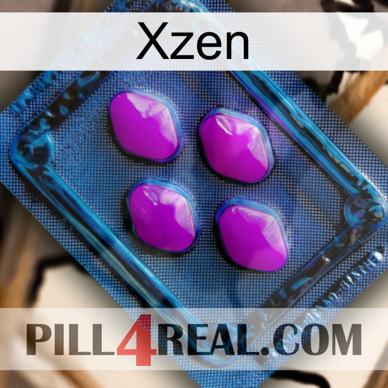 Xzen 04
